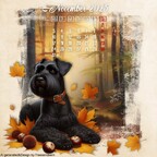 Kalenderblatt November