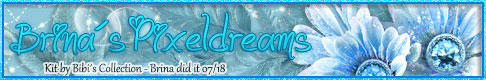Brina_Banner.jpg