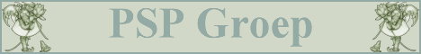 pspgroepbanner.jpg